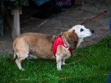 IMG_1375-2.jpg