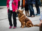 IMG_2500-2.jpg