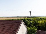 IMG_0372.jpg