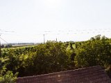 IMG_0376.jpg