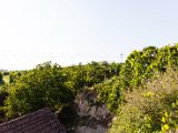 IMG_0380.jpg