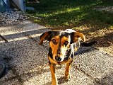 20151204_144116.jpg