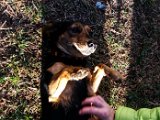 20151204_144231.jpg