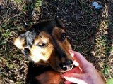 20151204_144245.jpg