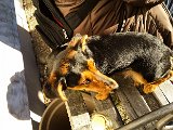 20151204_145406.jpg