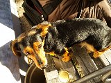 20151204_145408.jpg