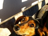 20151204_145414.jpg