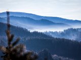 IMG_1851-2.jpg