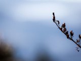 IMG_1854-2.jpg
