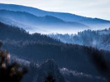 IMG_1857-2.jpg