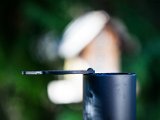 IMG_1872-2.jpg