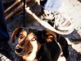 IMG_2030-2.jpg