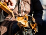 IMG_2040-2.jpg