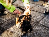IMG_2068-2.jpg