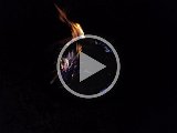 20151204_165645.mp4