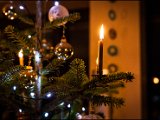 IMG_0855-2.jpg
