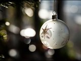 IMG_1552-2.jpg