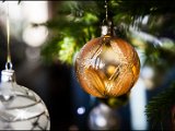 IMG_1561-2.jpg