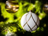 IMG_1570-2.jpg