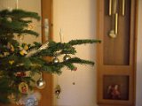IMG_0875.CR2