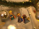 IMG_0884.CR2