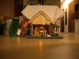 IMG_0893.CR2