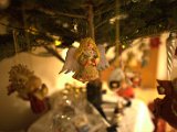 IMG_1045.CR2
