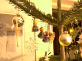 IMG_1234.CR2