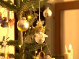 IMG_1236.CR2