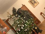 IMG_1337.CR2