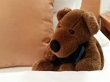 20151231_162054(0).jpg
