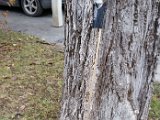 20160101_133036.jpg