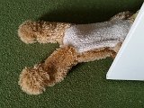 20160101_152855.jpg