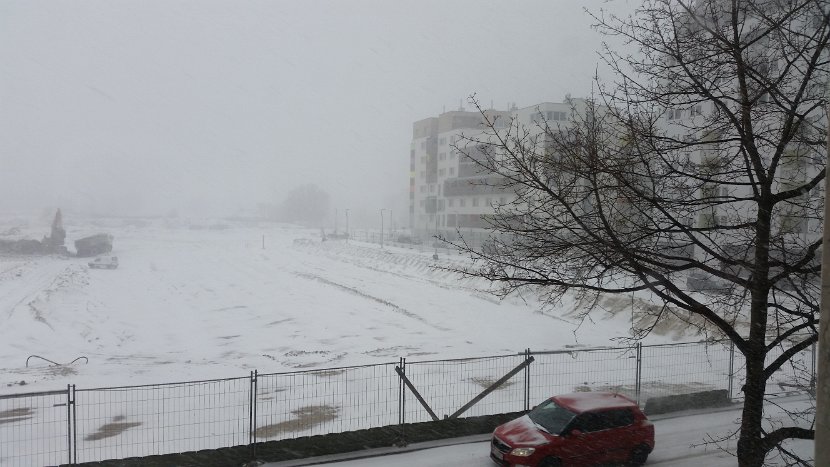 20150209_103329