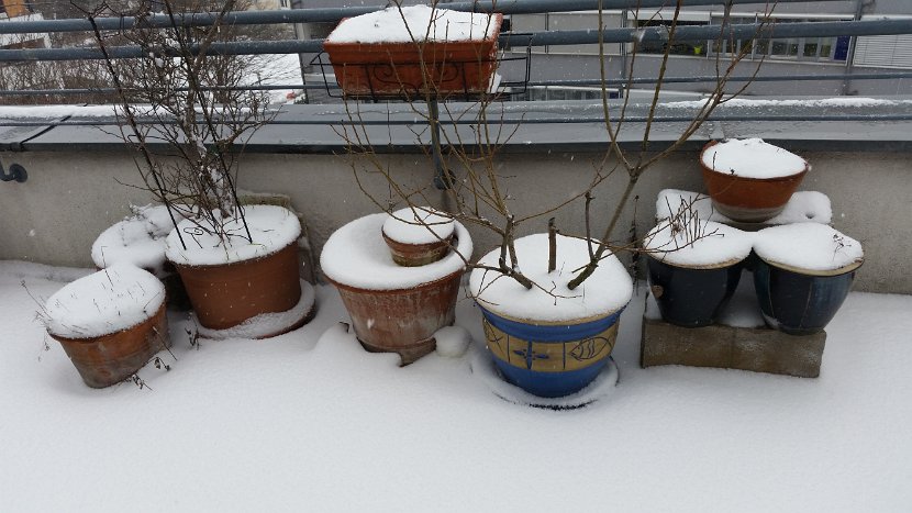 20150209_151230