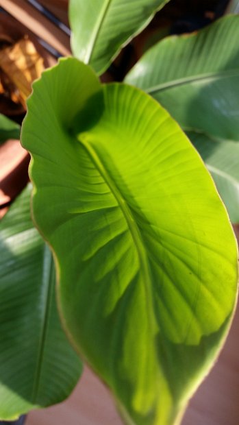 20150318_075137