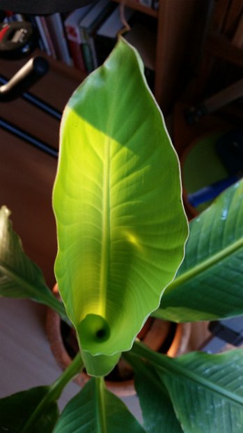 20150415_190044
