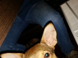 20150129_200259.jpg