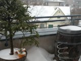 20150209_151031.jpg