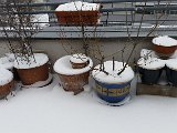 20150209_151230.jpg