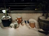20150209_175828.jpg