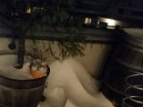20150209_175844.jpg