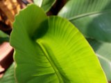 20150318_075137.jpg