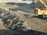 20150325_080812.jpg