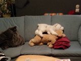 20150409_222728.jpg