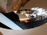 20150411_155936.jpg