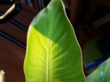 20150415_190044.jpg
