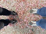20150502_151124.jpg
