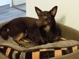 20150507_193623.jpg