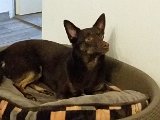 20150507_193634.jpg